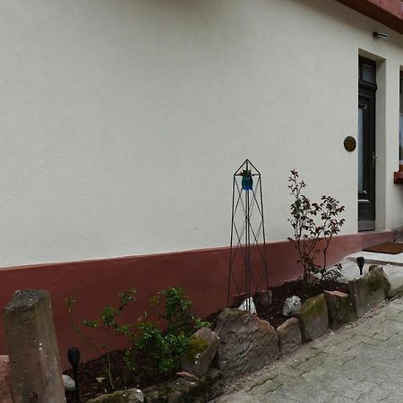 Le Gite Des Sources: Nature, Randonnees, Detente. Oberbronn Bagian luar foto