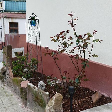 Le Gite Des Sources: Nature, Randonnees, Detente. Oberbronn Bagian luar foto