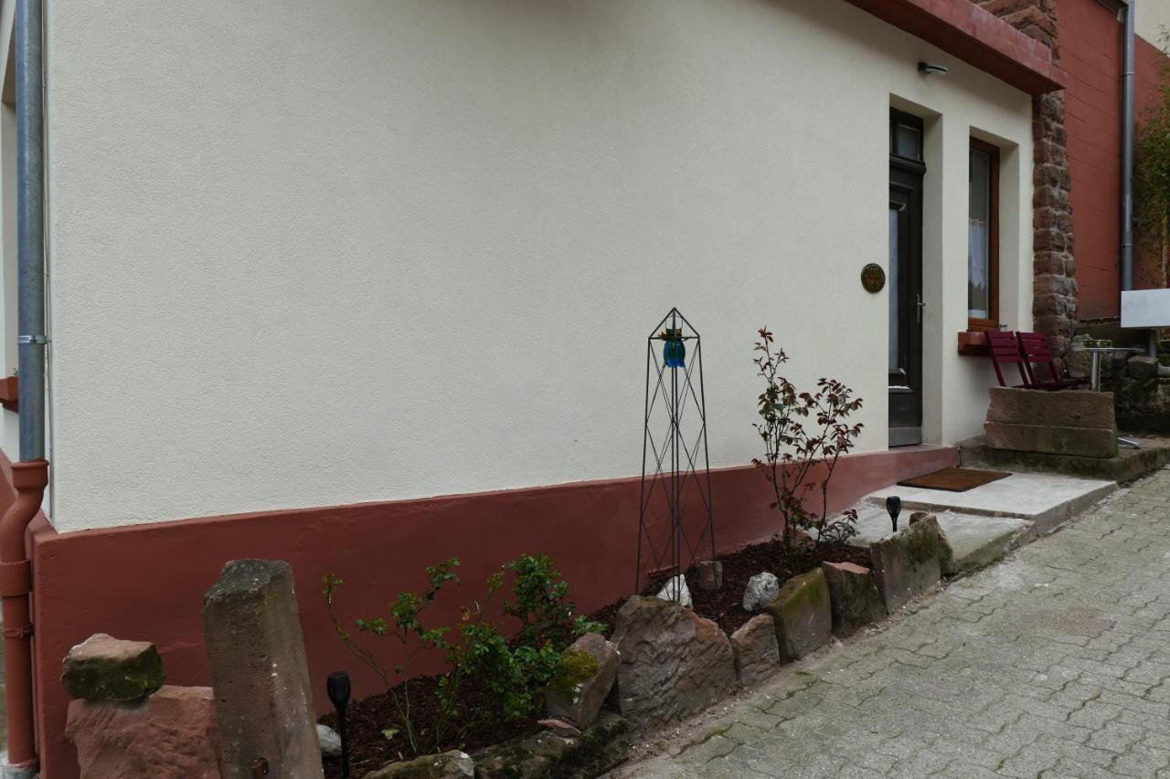 Le Gite Des Sources: Nature, Randonnees, Detente. Oberbronn Bagian luar foto