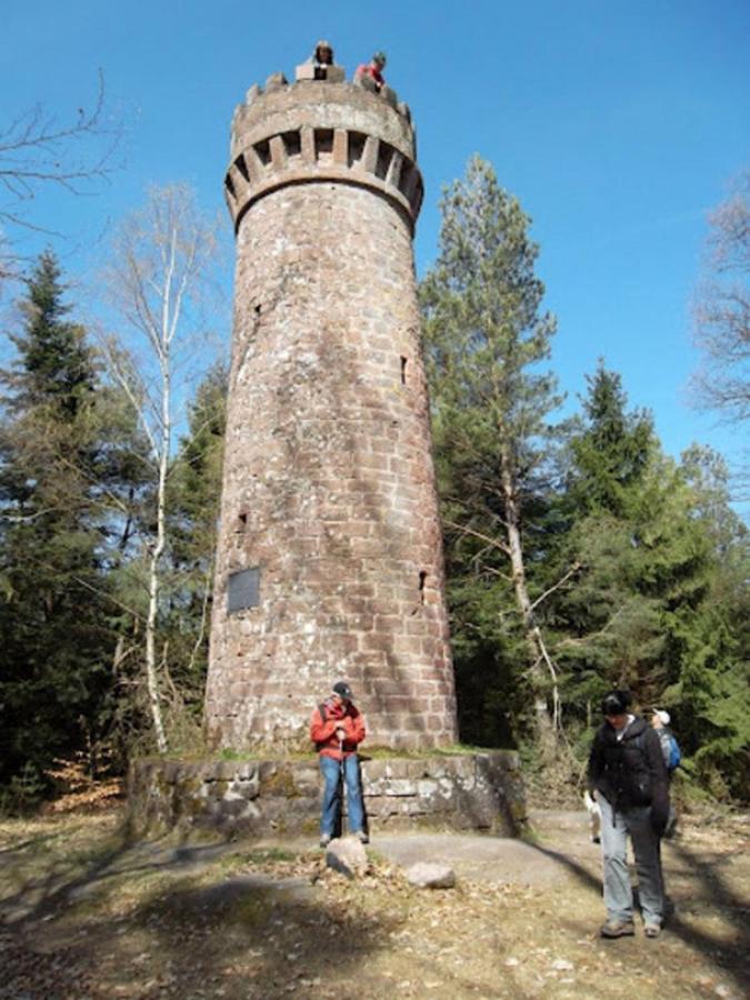 Le Gite Des Sources: Nature, Randonnees, Detente. Oberbronn Bagian luar foto